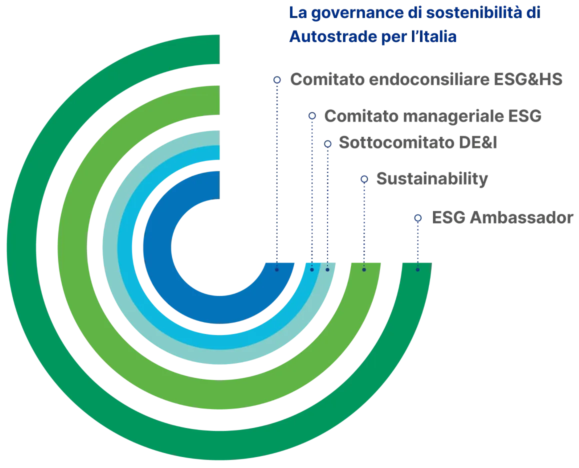 Grafico della governance di sostenibilità